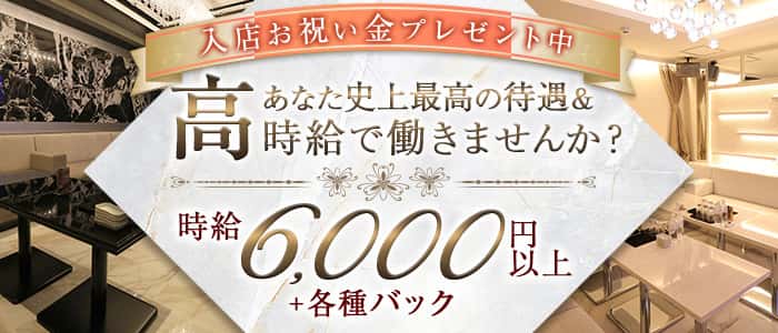 【すすきの】VeliA～ヴェリア～のニュークラブ体入