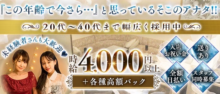 【関内】Abeille ANNEX（アベーユアネックス）(関内姉キャバ・半熟キャバ)の求人・体験入店情報