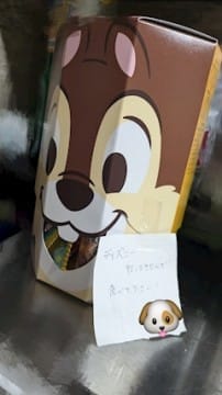 キャッシャーの休日