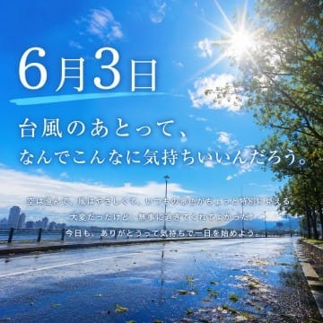6月3日台風すぎたあああ