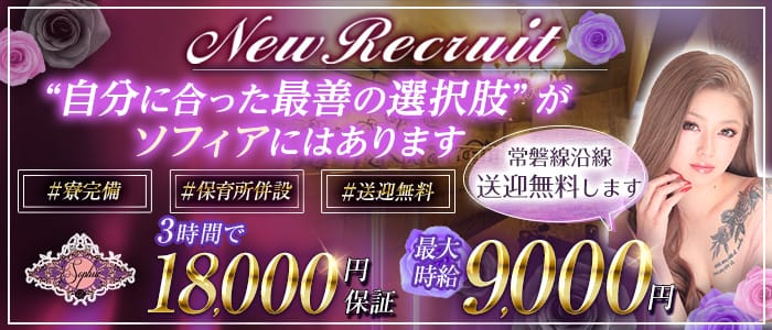 【つくば市研究学園】SOPHIA-ソフィア-のキャバクラ体入