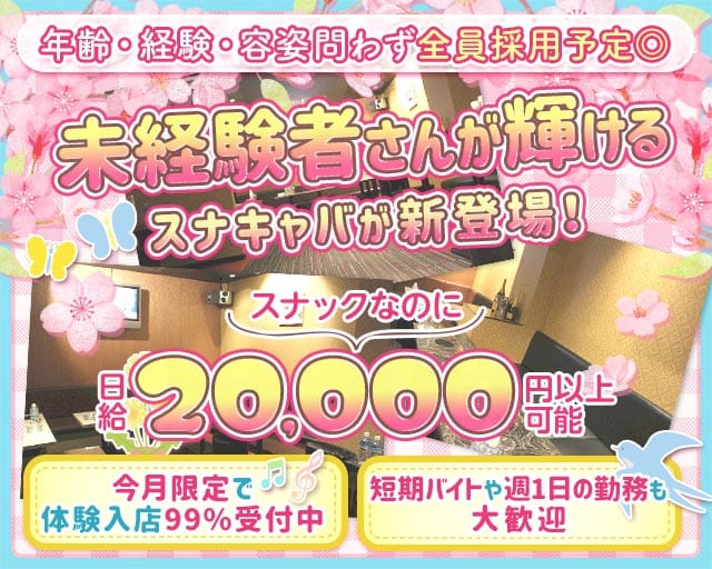 Lounge 粋 （スイ）の求人情報