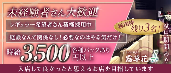 Lounge 露草花（つゆくさ） すすきのラウンジ 未経験募集バナー