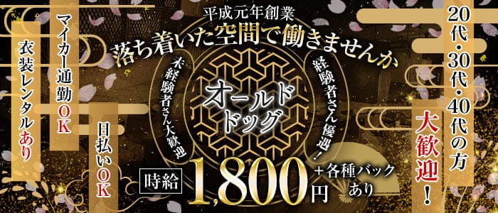オールドドッグのラウンジ体入
