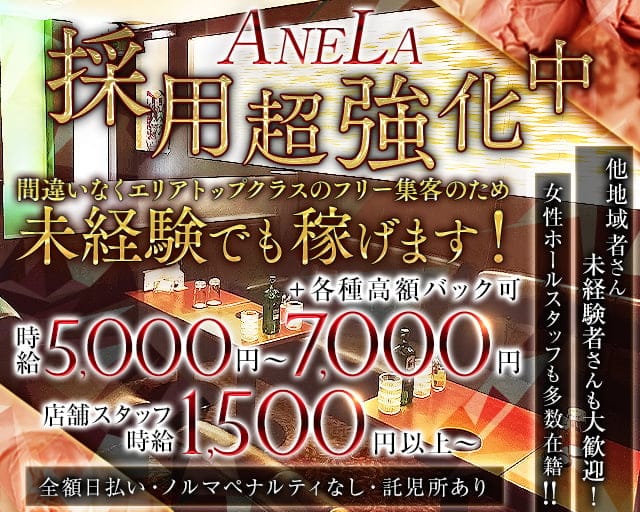 ANELA（アネラ）のキャバクラ体入