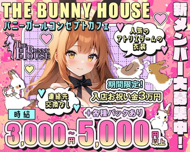 THE BUNNY HOUSE（ザ バニー ハウス）のガールズバー体入
