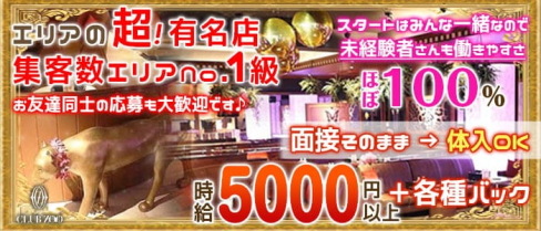 ZOO-ズー神戸-【公式】(三宮キャバクラ)の求人・体験入店情報