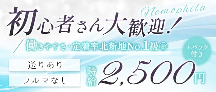 ねもふぃらのスナック体入