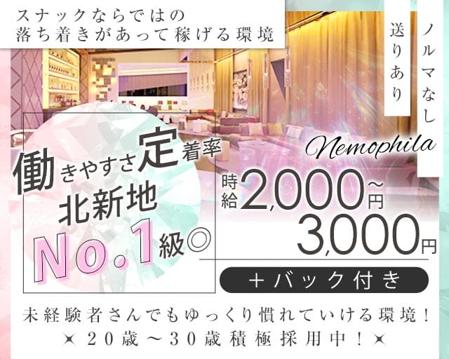 ねもふぃらのスナック体入