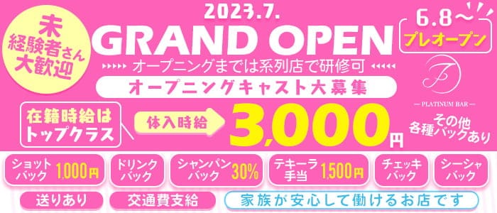 【刈谷】platinum bar  F (エフ)のガールズバー体入
