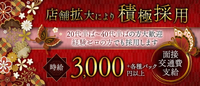 美酒乱（ビシュラン）のキャバクラ体入