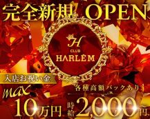 CLUB HARLEM（ハーレム）【公式体入・求人情報】 バナー
