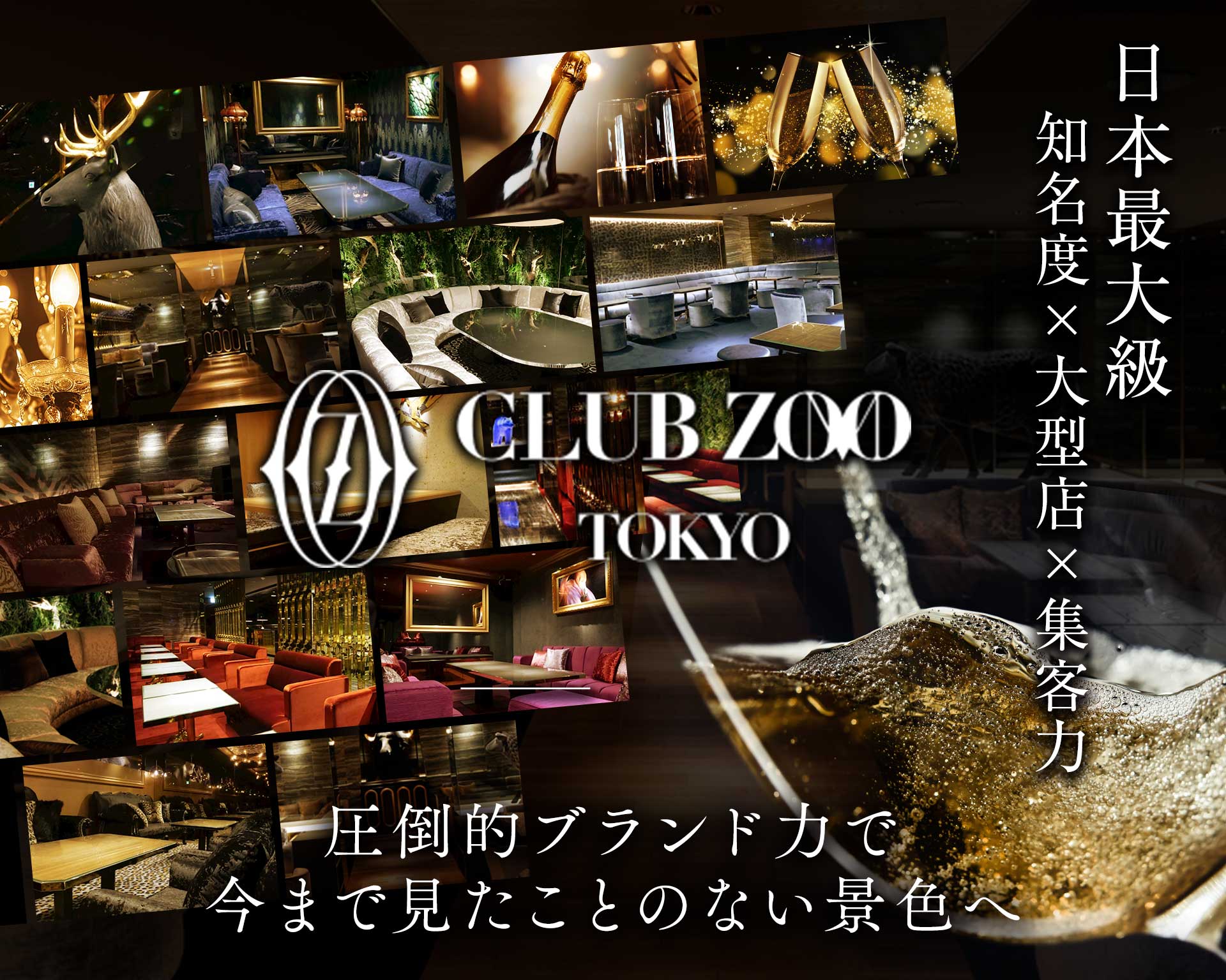 ZOO TOKYO（ズートウキョウ） 六本木キャバクラ TOP画像