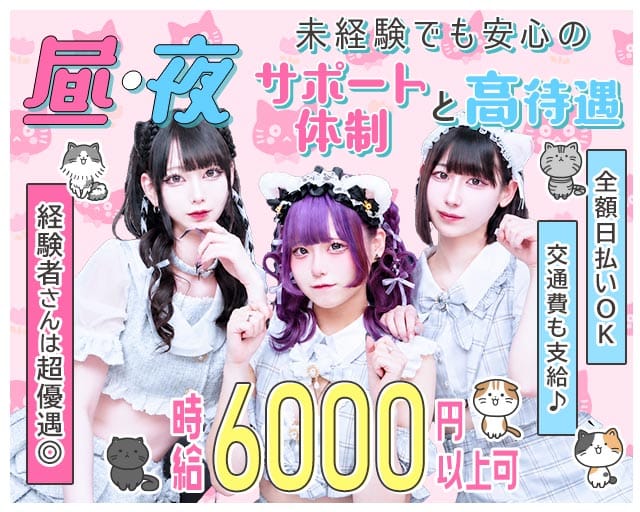 【昼・夜】あんどねこのガールズバー体入