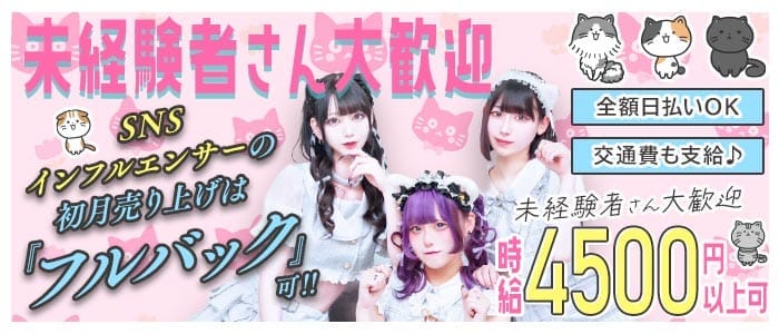 【昼・夜】あんどねこ(池袋ガールズバー)の求人・体験入店情報