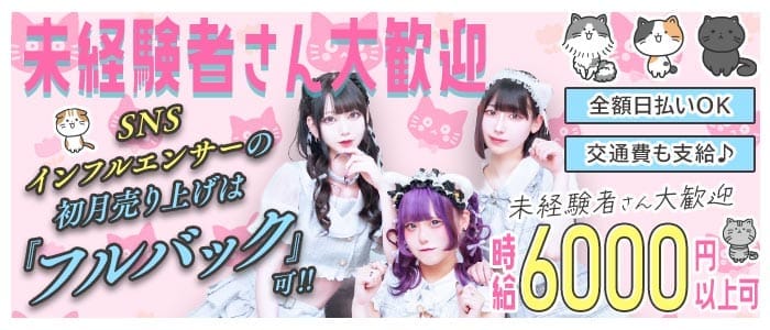 【昼・夜】あんどねこ 池袋ガールズバー 未経験募集バナー