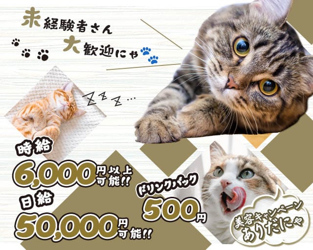 【成田】Lady‘s Bar Romy・ロミーのガールズバー体入