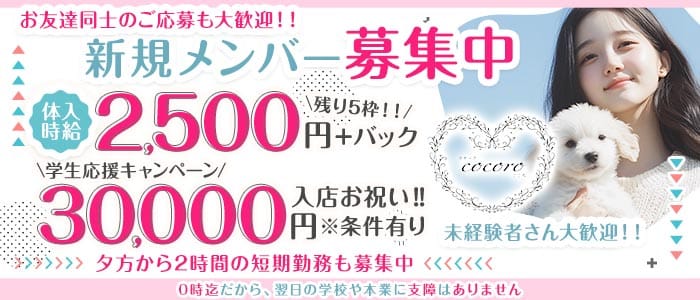 【坂戸駅】スナックcocoro（ココロ）(坂戸スナック)の求人・体験入店情報