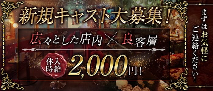 ヴィーナスのスナック体入