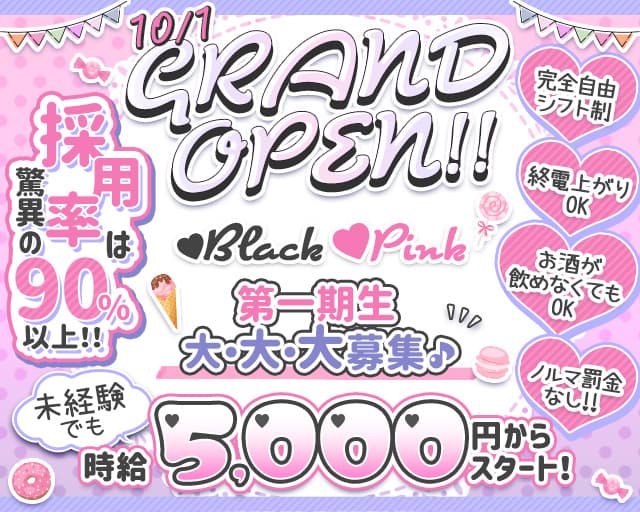 Black Pink（ブラックピンク）【公式体入・求人情報】 歌舞伎町ラウンジ TOP画像