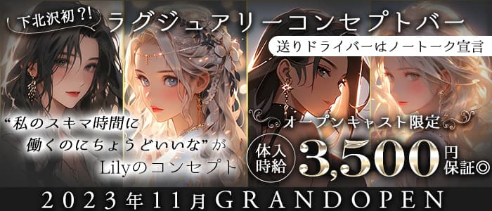 LuxuryCafe＆Bar Lily（リリー）のガールズバー体入
