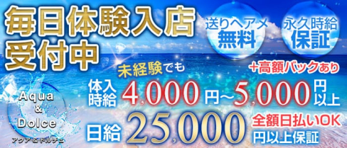 Aqua & Dolce~アクアアンドドルチェ~【公式求人情報】(八王子キャバクラ)の求人・バイト・体験入店情報