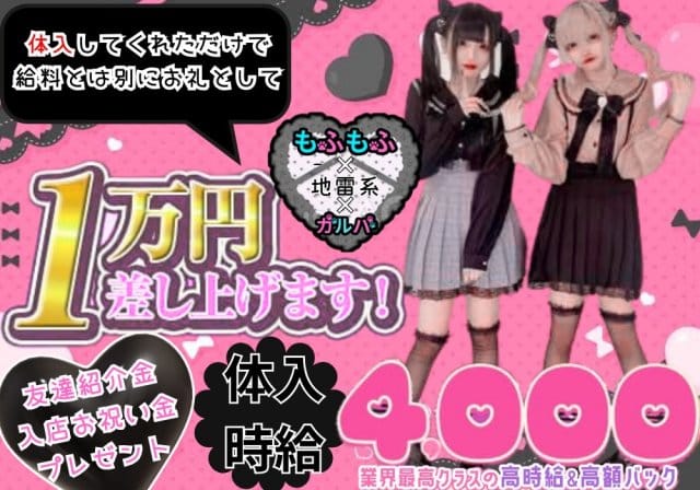 ガールズバー もふもふのガールズバー体入