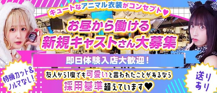Concept Girl's cafe Chloe（クロエ） 大宮ガールズバー 即日体入募集バナー
