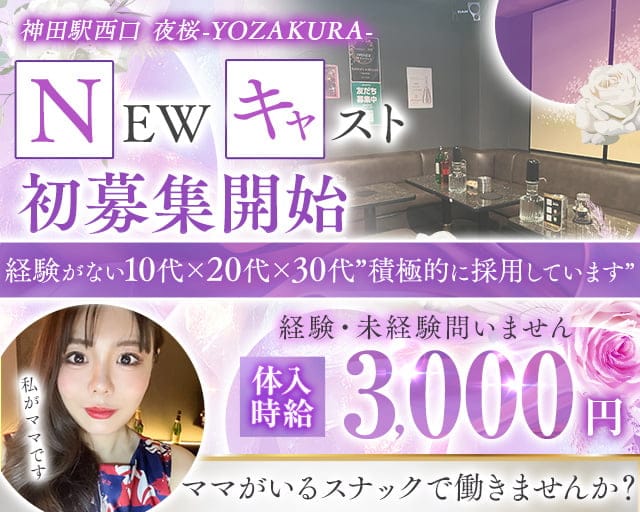 【ＪＲ神田駅西口】夜桜-YOZAKURA-のスナック体入