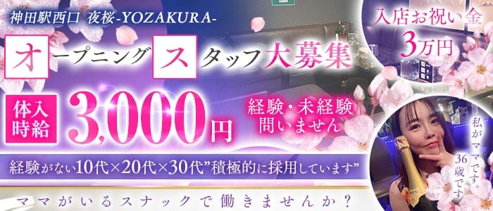 【ＪＲ神田駅西口】夜桜-YOZAKURA- 神田スナック 