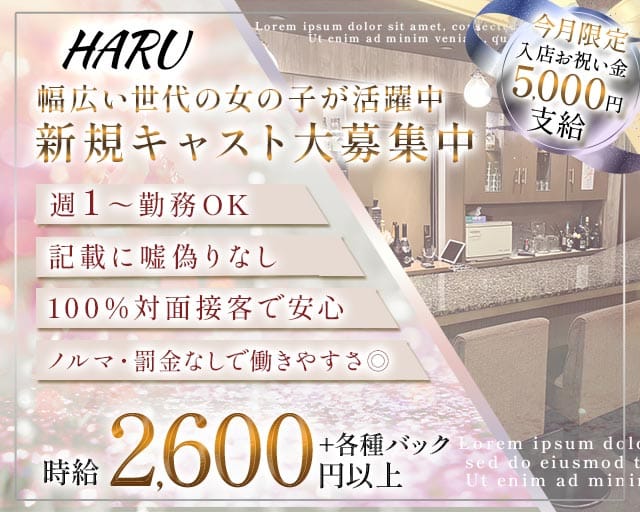 HARU（ハル）(三宮スナック)の求人・体験入店情報