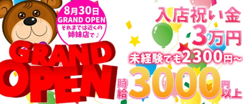 ONE PIECE(ワンピース)【公式求人情報】(溝の口ガールズバー)の求人・バイト・体験入店情報
