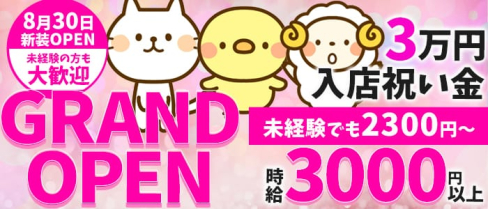 ONE PIECE(ワンピース)【公式求人情報】(溝の口ガールズバー)の求人・バイト・体験入店情報