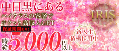 IRIS~アイリス~【公式求人情報】(恵比寿ラウンジ)の求人・バイト・体験入店情報