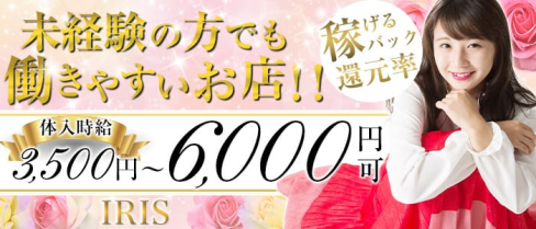 IRIS~アイリス~【公式求人情報】(恵比寿ラウンジ)の求人・体験入店情報