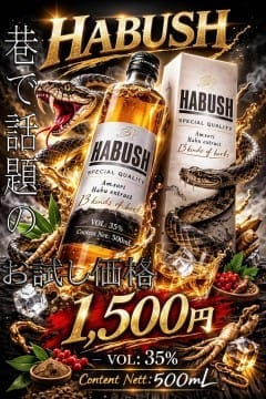 ☆巷で流行りのハブッシュ☆