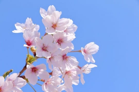 4月もよろしくお願いいたします。