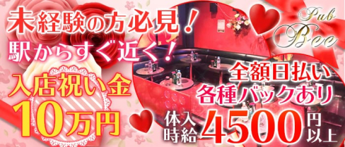 【武蔵小金井】Pub Bee(ビー)【公式求人情報】(吉祥寺キャバクラ)の求人・バイト・体験入店情報