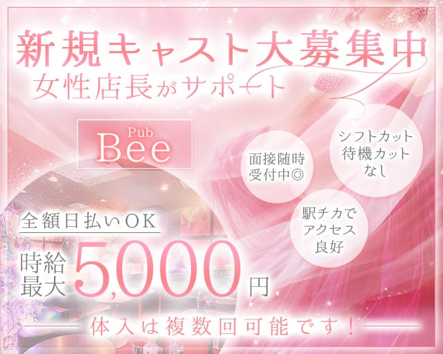 【武蔵小金井】Pub Bee（ビー）のキャバクラ体入