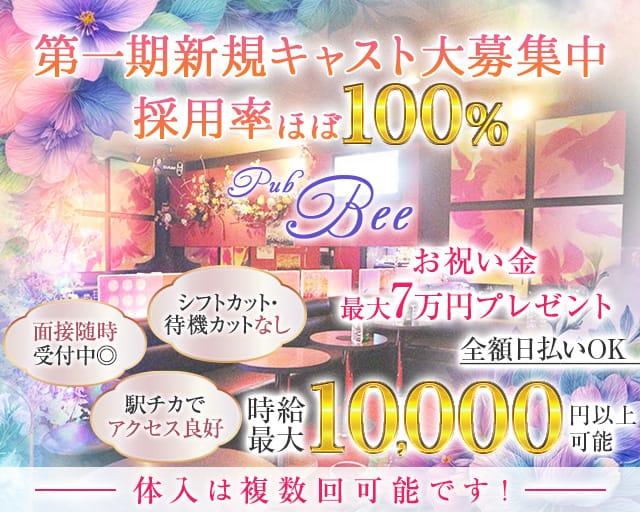 【武蔵小金井】Pub Bee（ビー）のキャバクラ体入