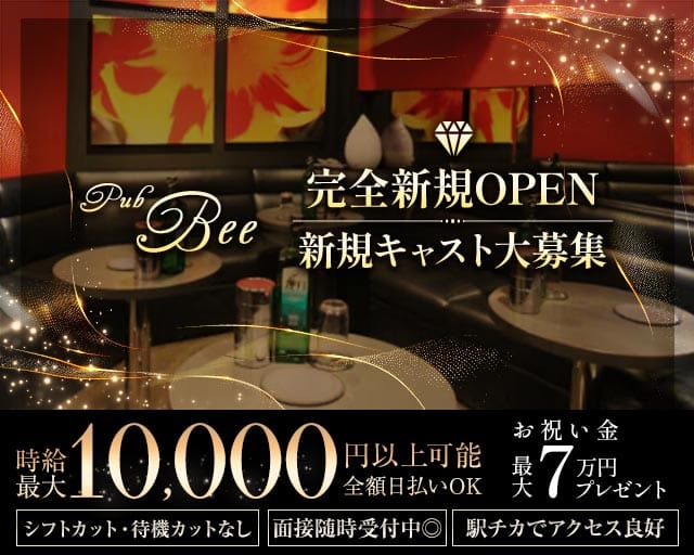 【武蔵小金井】Pub Bee（ビー） 吉祥寺キャバクラ TOP画像
