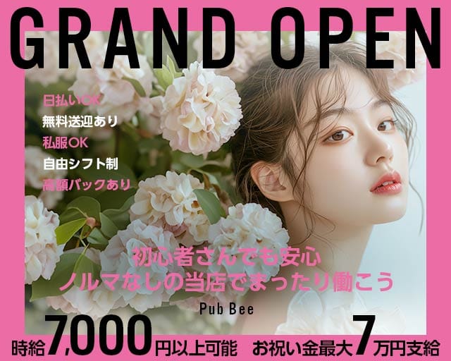【武蔵小金井】Pub Bee（ビー）のキャバクラ体入