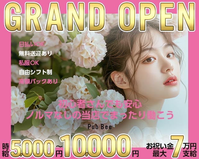 【武蔵小金井】Pub Bee（ビー）(吉祥寺キャバクラ)の求人・体験入店情報