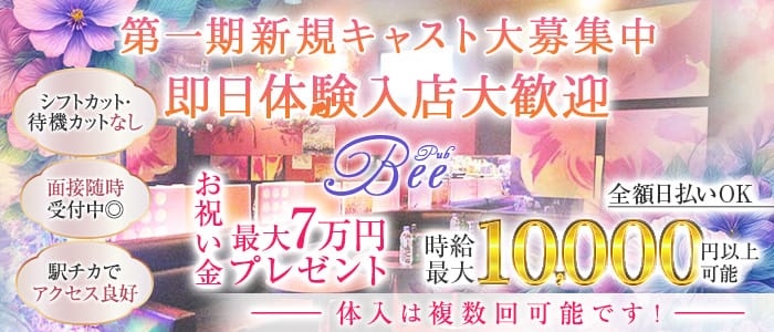 【武蔵小金井】Pub Bee（ビー）(武蔵小金井キャバクラ)の求人・体験入店情報
