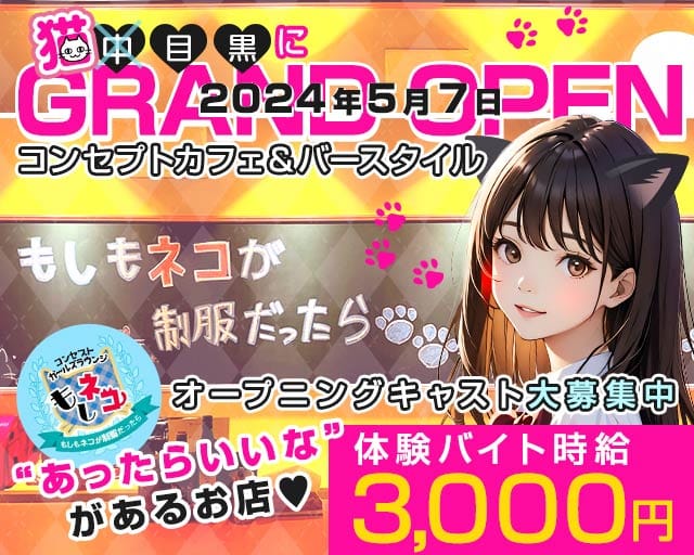 【東急東横・日比谷線中目黒駅】コンセプトバー もしもネコが制服だったらのガールズバー体入