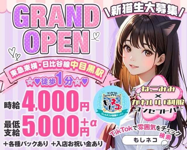 【東急東横・日比谷線中目黒駅】コンセプトバー もしもネコが制服だったらのガールズバー体入
