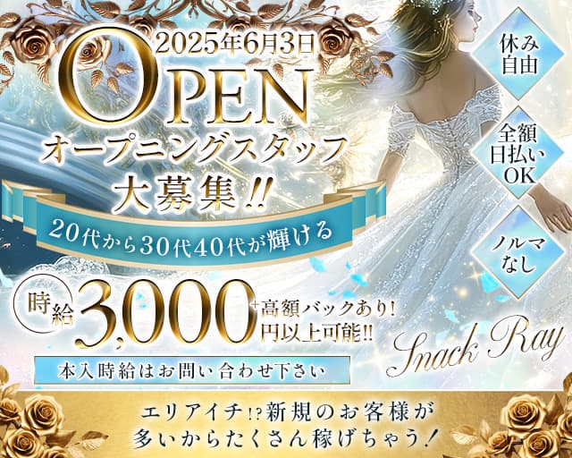 スナック 玲のスナック体入