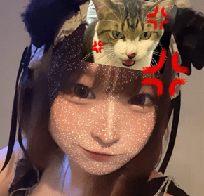 りほ ADVANCE（アドバンス） 画像2