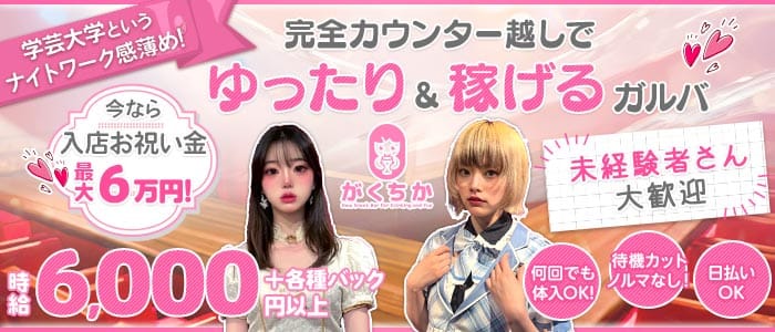 【学芸大学】Girls Bar がくちか(自由が丘ガールズバー)の求人・体験入店情報