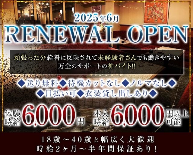 Club Bee（ビー）(松山キャバクラ)の求人・体験入店情報